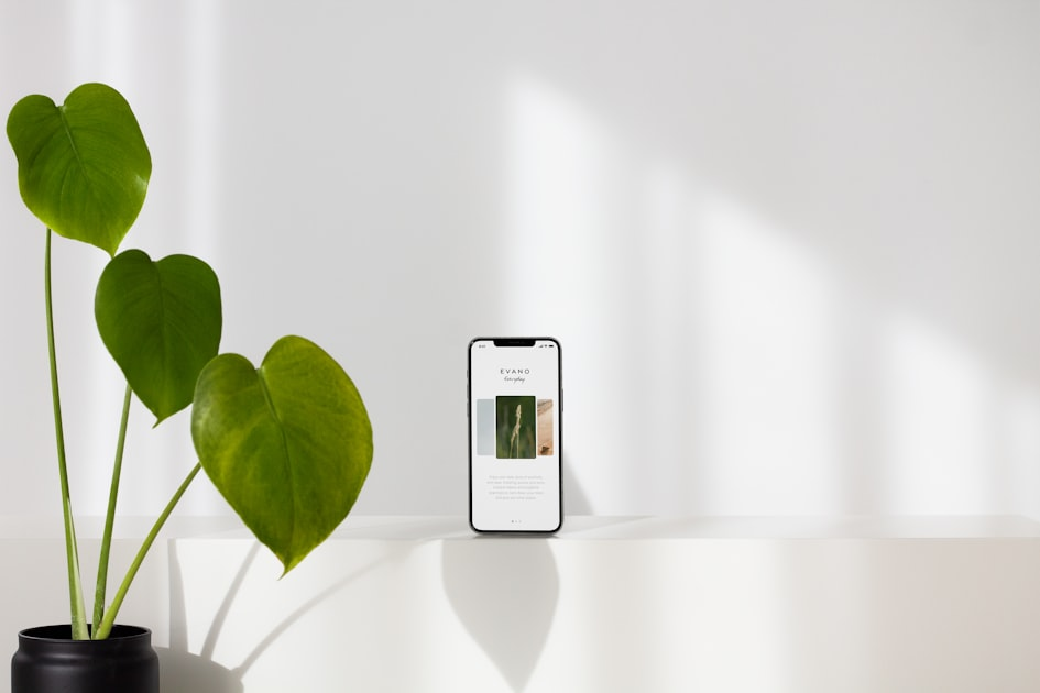 Secure Your Future with playbox.ai